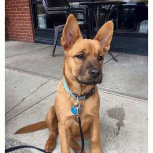 Meet your Posher, Jonathan